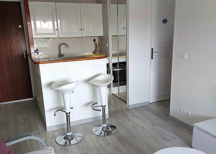 Apartment 2 Pieces Renove Pres De La Avec Parking - Fr-1-712-77